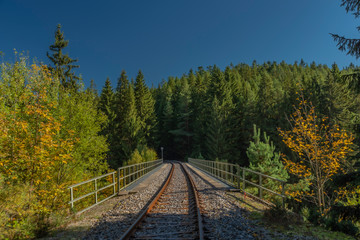 Obraz premium High bridge over valley in color autumn morning in national park Sumava