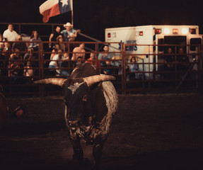 Rodeo life