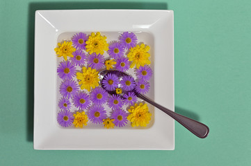 Abstract Plate dish with flowers