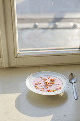 Bowl of homemade granola with yogurt and fresh berries 