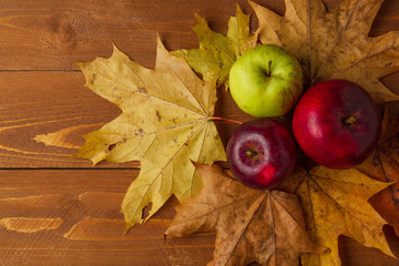 Autumn apples on maple leaves