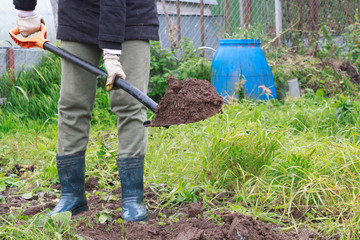 The girl in the hands holds a shovel with soil