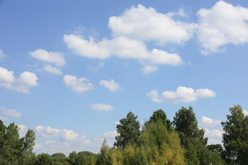 Fototapeta premium sunset over green meadow and trees in cloudy sky 