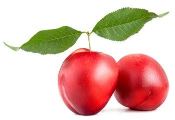 Nectarine isolated on white background