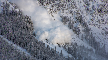 Snow avalanche in the austrian alps. - obrazy, fototapety, plakaty