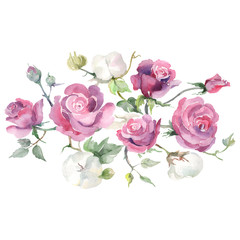 Roses bouquet floral botanical flowers. Watercolor background illustration set. Isolated bouquets illustration element.