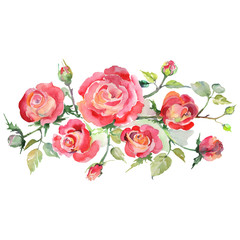 Red rose bouquet floral botanical flowers. Watercolor background set. Isolated bouquets illustration element. - 293430048