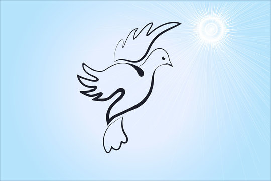 Dove of peace bird flying on the sunny sky logo vector religious image