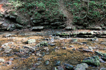 Boulders on Nature Trail in Woods