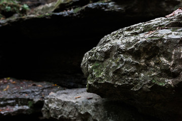 Boulders on Nature Trail in Woods