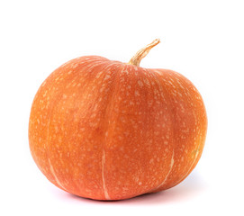 overripe orange pumpkin isolated on white background. autumn harvest creative concept
