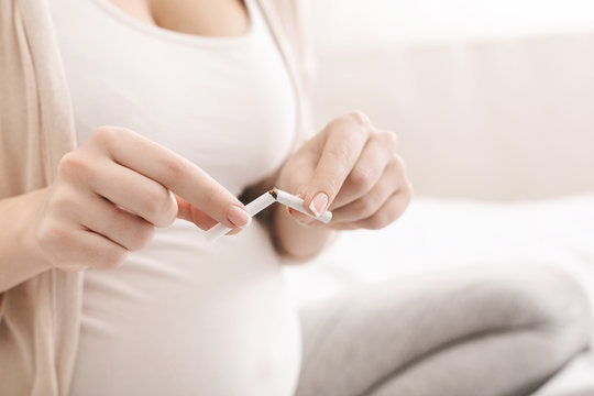 Healthy life choice. Pregnant woman breaking cigarette
