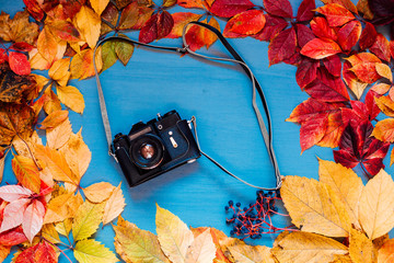 with multicolored leaves camera on a wooden background