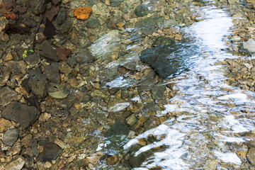 Boulders on Nature Trail in Woods