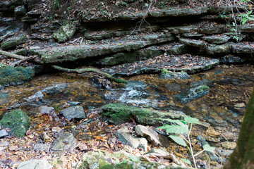 Boulders on Nature Trail in Woods