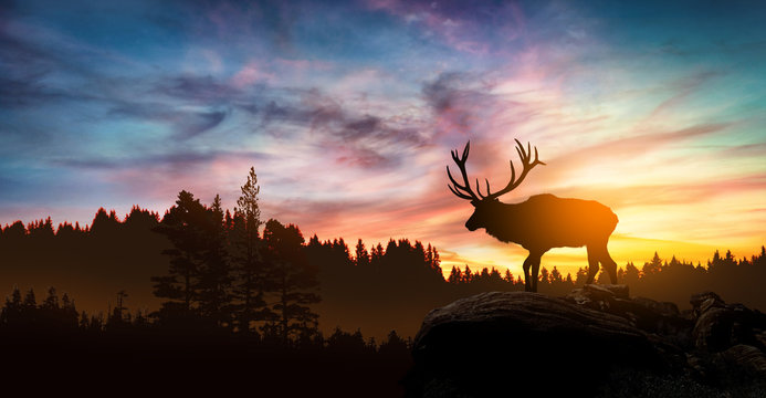 Elk Background Images – Browse 56,769 Stock Photos, Vectors, and Video |  Adobe Stock