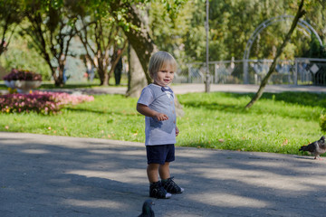 Little boy surrounded by pigeons in the park.