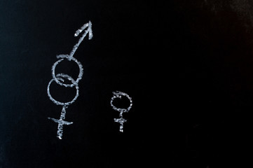 Fototapeta na wymiar chalk on the Board male and female
