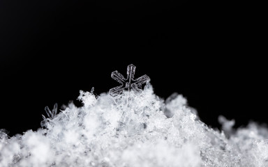 natural snowflakes on snow, winter