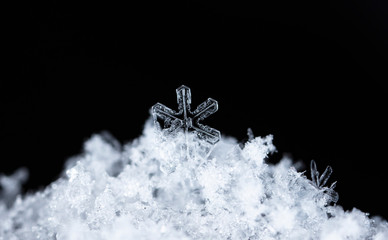 natural snowflakes on snow, winter