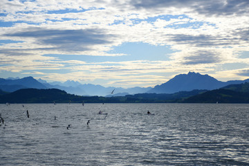 Fototapeta na wymiar Landscape view of Lake Zug with cirrus clouds and mountains in the distance