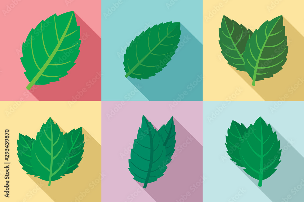 Poster mint icons set. flat set of mint vector icons for web design