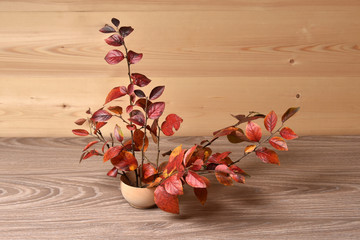 Bouquet of autumn leaves on a wooden background.