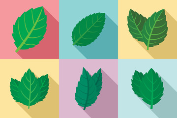 Mint icons set. Flat set of mint vector icons for web design