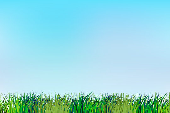 Grass render vector background template