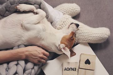Woman in cozy home wear relaxing at home with sleeping dog , Positivity,inspiration, motivation concept, Enjoy life concept