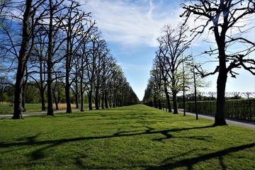 Beautiful alley in the Great Garden of Herrenhausen Gardens Hanover