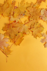 Yellow dry autumn leaves on a yellow background. Top view. Copy space