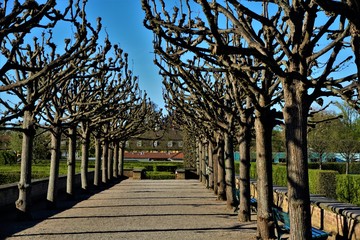 Viewing Terrace of the Herrenhausen Gardens in spring