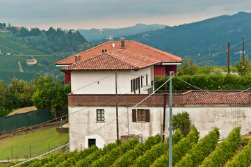 Front view, medium distance of an two story farm house, hills with old Moscato wine grapes and  vines, surrounding the town of farm, in the hills of the Piedmont wine region of Italy.              