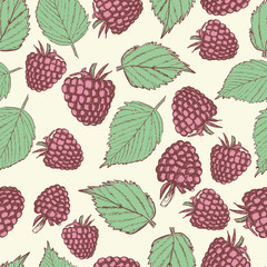 raspberry seamless pattern vintage style vector illustration