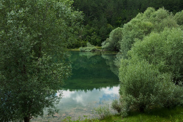 Fototapeta na wymiar Orman içerisinden göle bakış