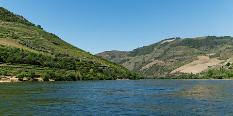 auf dem Douro, Nähe Pinhao, Portugal