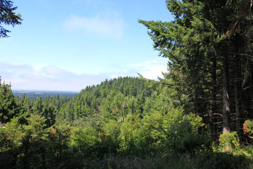 Wonderful sight from the a mountain