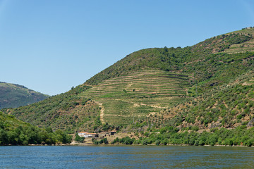 Obraz premium auf dem Douro, Nähe Pinhao, Portugal