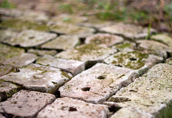 Old brick paving background closeup. Vintage brick texture