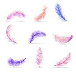 Realistic Feather White Background Composition