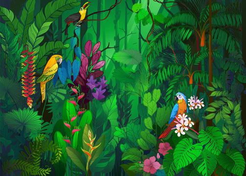 Tropical Rain Forest in a deep wilderness with colorful birds, flowers and exotic plants in illustration
