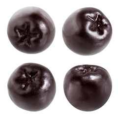 black chokeberry isolated on white