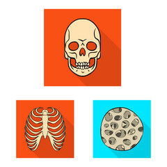 Vector illustration of bone and skeleton icon. Set of bone and human vector icon for stock.