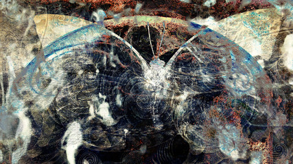 grunge butterfly background