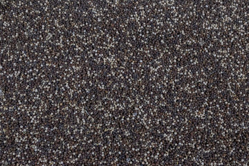 Texture of pea agriculture stocks