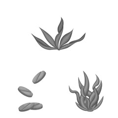 Vector design of plant and weed symbol. Set of plant and sea vector icon for stock.