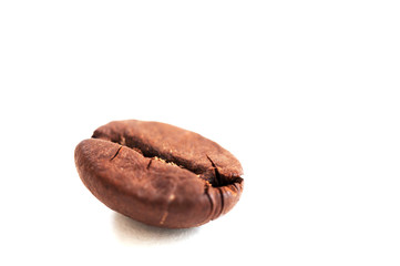 Obraz premium one coffee bean on white background