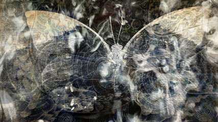 grunge butterfly texture 