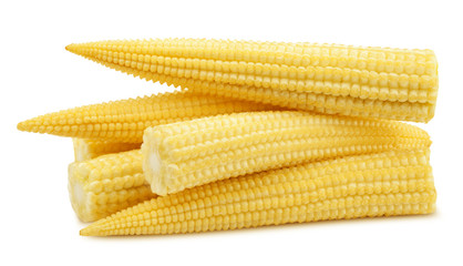 baby corn, isolated on white background, clipping path, full depth of field